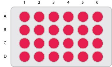 96 Well Plate Printable Template Sigma Aldrich