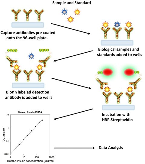 download untersuchungen zur mutagenen wirkung von äthylnitrosoharnstoff