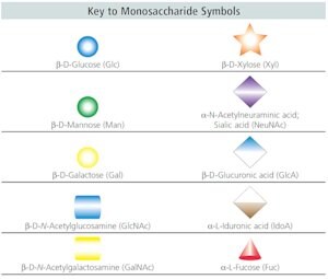 O Glycosidase From Streptococcus Pneumoniae Recombinant Expressed In E Coli Buffered Aqueous Solution 9032 92 2