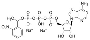 アデノシン 5 三リン酸g 1 2 ニトロフェニル エチル エステル ナトリウム塩 95 Sigma Aldrich