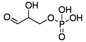 Dl Glyceraldehyde 3 Phosphate Solution 45 55 Mg Ml In H2o 591 59 3