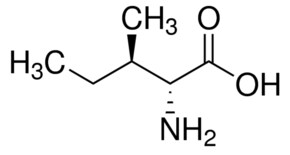 www.sigmaaldrich.com