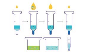 protein-affinity-chromatography-290x180.jpg