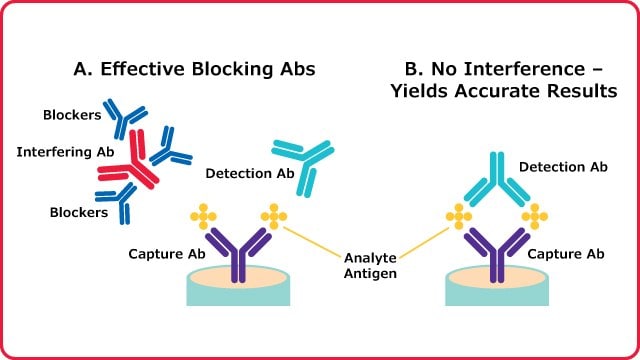 Igg Antibody Photos and Images & Pictures