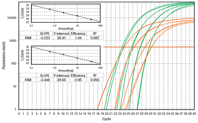 Shaded Fordeling tjener Multiplex Real-Time PCR