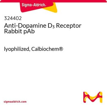 Anti-Dopamine D3 Receptor Rabbit pAb lyophilized, Calbiochem&#174;