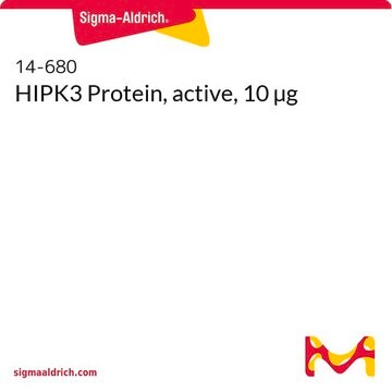 HIPK3 Protein, active, 10 µg