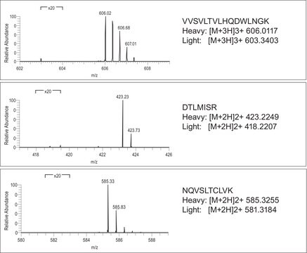 SILu&#8482;MAB Stable-Isotope Labeled Universal Monoclonal Antibody Standard human recombinant, expressed in CHO cells