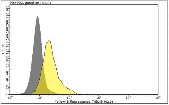Anti-IL-6 Antibody, clone 1G18 ZooMAb&#174; Rabbit Monoclonal recombinant, expressed in HEK 293 cells