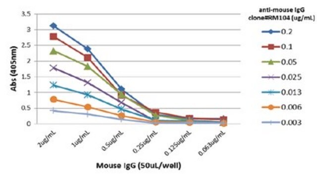 Rabbit Anti-Mouse IgG Antibody, clone RM104 clone RM104, from rabbit