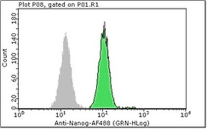 Anti-Oct-4 Antibody, clone 10H11.2 clone 10H11.2, Chemicon®, from