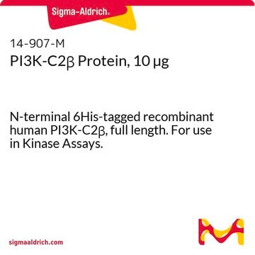 PI3K-C2&#946; 蛋白，10 &#181;g N-terminal 6His-tagged recombinant human PI3K-C2&#946;, full length. For use in Kinase Assays.