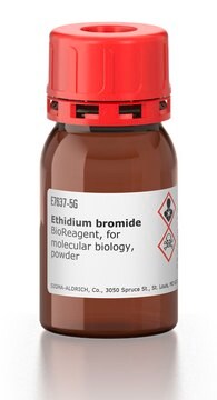 Ethidium bromide BioReagent, Molecular Biology, powder