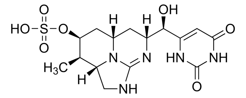 Cylindrospermopsin