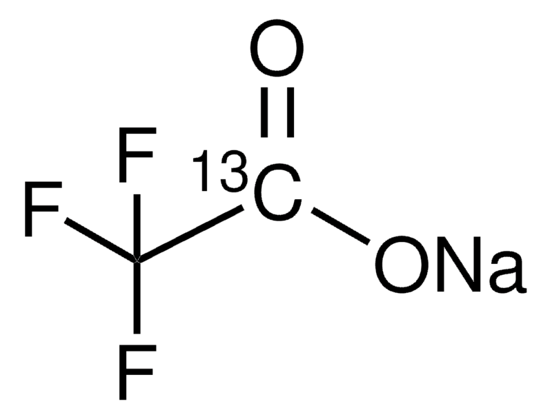 ᴛʜᴇ ʜᴜɴᴛᴇʀ/σ cαçα∂σr, Wiki